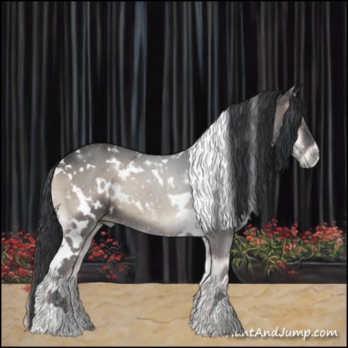 Horse Color:White Spotted Blue Onyx 