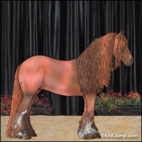 Horse Color:White Spotted Chestnut 