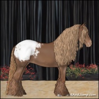 Horse Color:Chestnut Appaloosa
