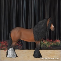 Horse Color:Brown 