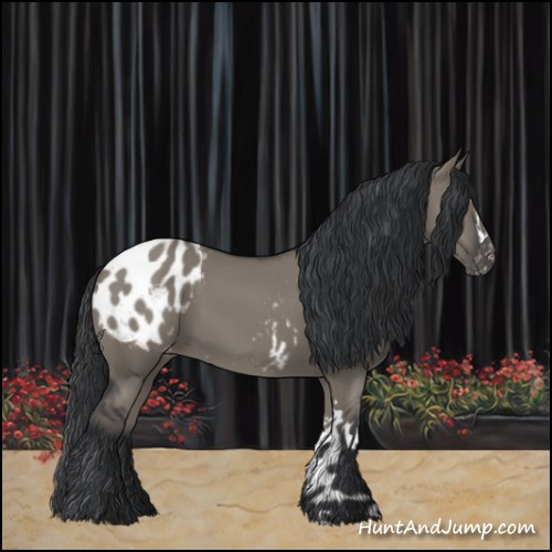 Horse Color:Grullo Blanket 