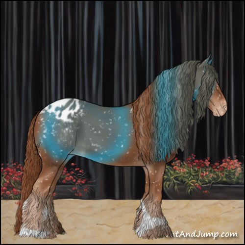 Horse Color:Chestnut Tobiano Appaloosa 
