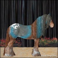 Horse Color:Chestnut Tobiano Appaloosa 