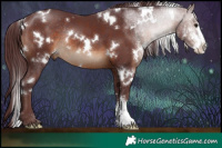 Horse Color:White Spotted Chocolate Brown Sabino Rabicano 