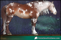 Horse Color:White Spotted Chocolate Brown Sabino Rabicano