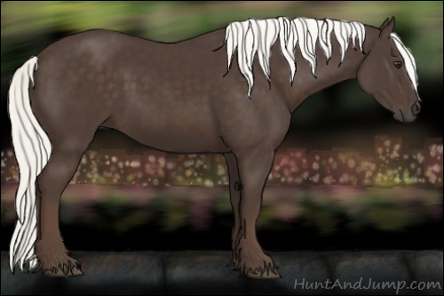 Horse Color:Liver Chestnut Mushroom