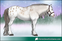 Horse Color:White Spotted Bay Dun Appaloosa Rabicano