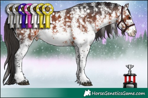 Horse Color:White Spotted Brown Snowflake Varnish 