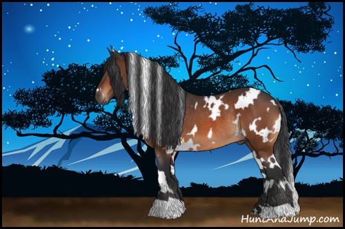 Horse Color:White Spotted Bay Rabicano 