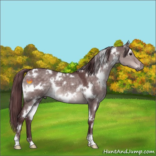 Horse Color:Platinum White Spotted Chocolate Brown Dun 