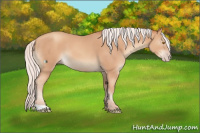 Horse Color:Silver Classic Champagne