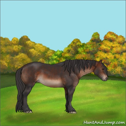 Horse Color:Brown 