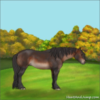 Horse Color:Brown 
