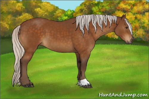 Horse Color:Silver Buckskin 