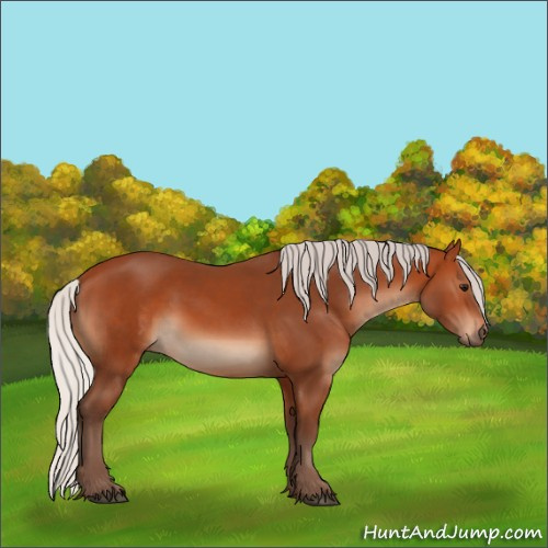 Horse Color:Silver Bay