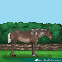 Horse Color:Silver Black 