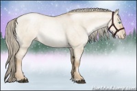 Horse Color:Chocolate Palomino Roan Pearl Dun