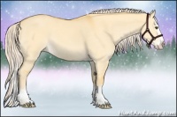 Horse Color:Palomino Dun Sabino Splash 