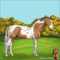 Horse Color:Watercolor Silver Brown Splash Tobiano