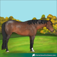 Horse Color:Brown 