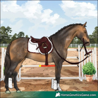 Horse Color:Buckskin 