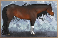 Horse Color:Gray Brown 