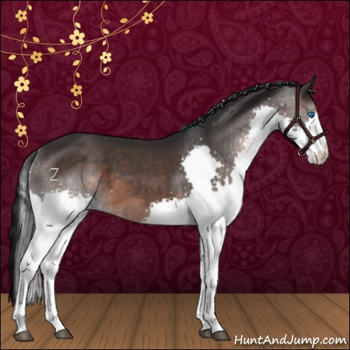 Horse Color:Brown Splash 