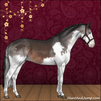 Horse Color:Brown Splash 