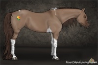 Horse Color:Liver Red Dun Tobiano 