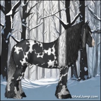 Horse Color:White Spotted Black