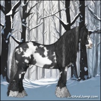 Horse Color:White Spotted Black Frame Rabicano 