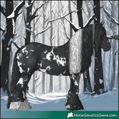 Horse Color:White Spotted Black 