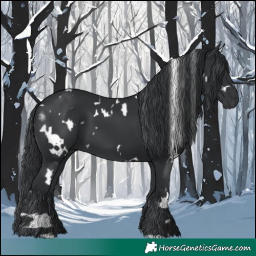 Horse Color:White Spotted Black 