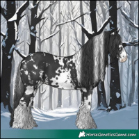 Horse Color:White Spotted Black Sabino