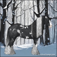 Horse Color:White Spotted Black Sabino Splash