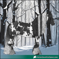 Horse Color:White Spotted Black