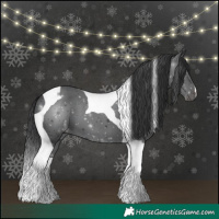 Horse Color:Black Tobiano 