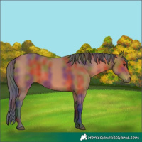 Horse Color:Nacre Bay 