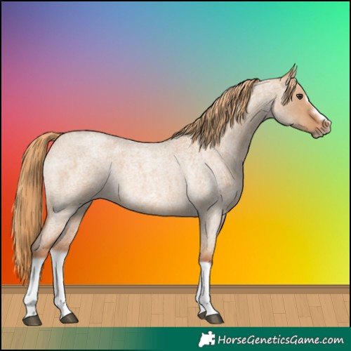 Horse Color:Red Dun Roan Splash Frame Rabicano 