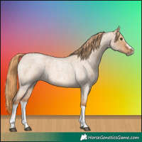 Horse Color:Red Dun Roan Splash Frame Rabicano 