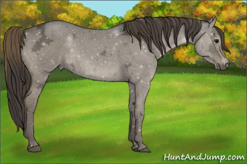 Horse Color:Smoky Grullo Ice 