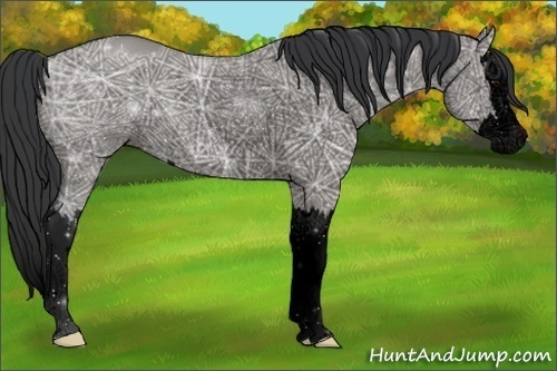 Horse Color:Void Grullo Ice Sabino Splash