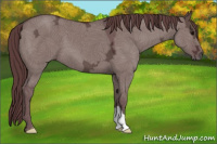 Horse Color:Chocolate Grullo Ice 