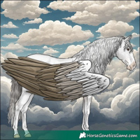 Horse Color:White Spotted Liver Chestnut Ice Sabino Blanket