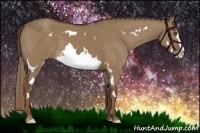 Horse Color:Liver Red Dun Splash Frame 