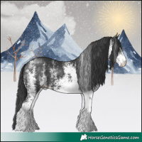 Horse Color:White Spotted Black 