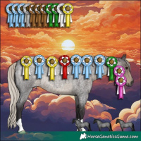 Horse Color:Silver Smoky Blue Roan