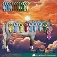 Horse Color:Silver Smoky Blue Roan 