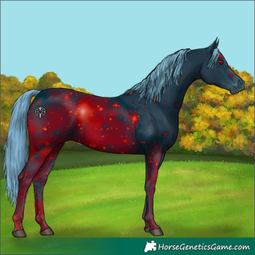 Horse Color:ERROR: UNKNOWN ANOMALY