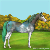 Horse Color:Painted White Spotted Silver Black
